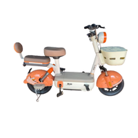 Bicicleta Elétrica Zenith